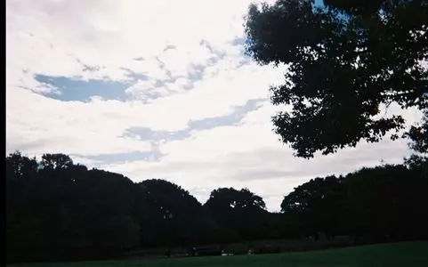 庄内緑地公園