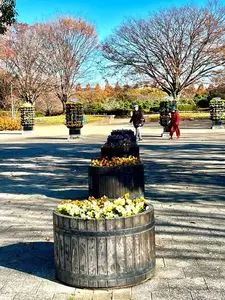 相模原公園内 緑の街