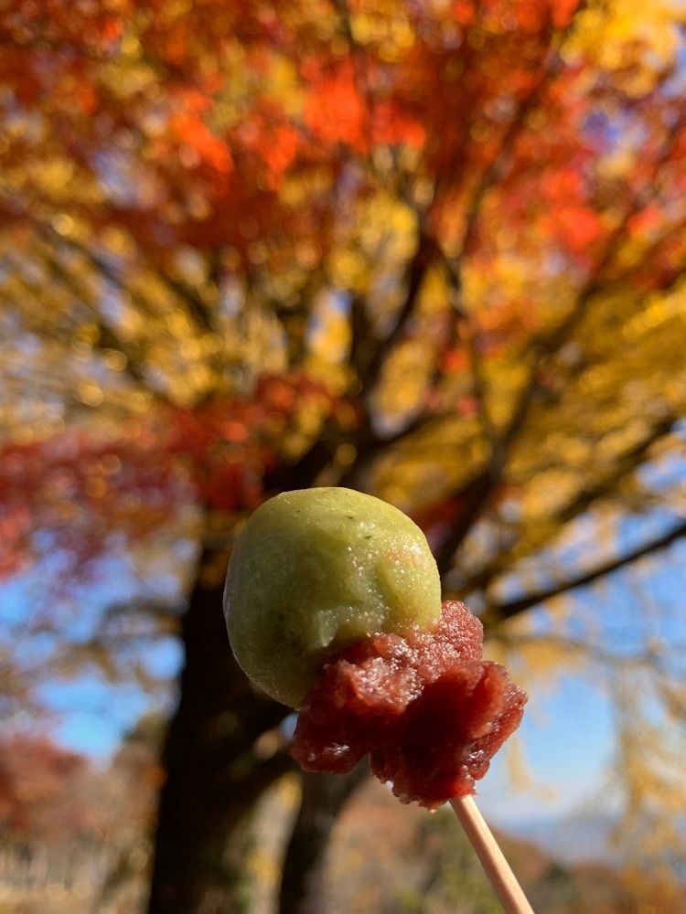 kohchanさんが投稿した栃木家に関する口コミの画像
