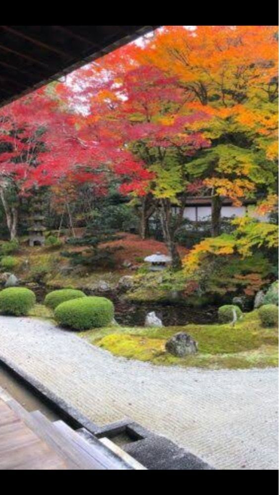 京都を巡る会・「武」さんが投稿した来迎院に関する口コミの画像