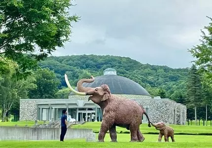 ちゅうるい