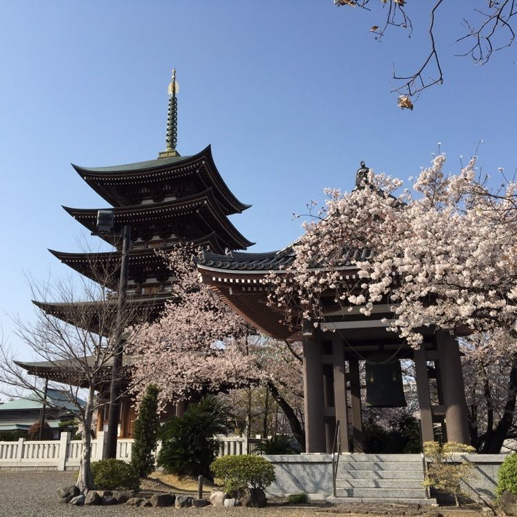 巻町アカネさんが投稿した日泰寺に関する口コミの画像