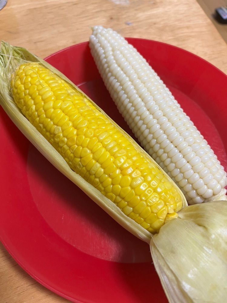 yuyuさんが投稿した愛菜屋（アイサイヤ）に関する口コミの画像