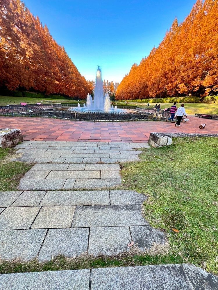 ビンカさんが投稿した樹樹 相模原市立市民文化センターに関する口コミの画像
