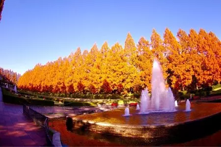 相模原公園内 緑の街