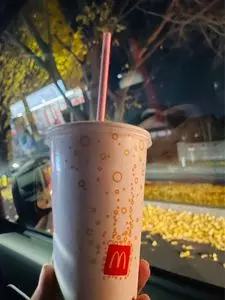 マクドナルド ２５４亀久保店