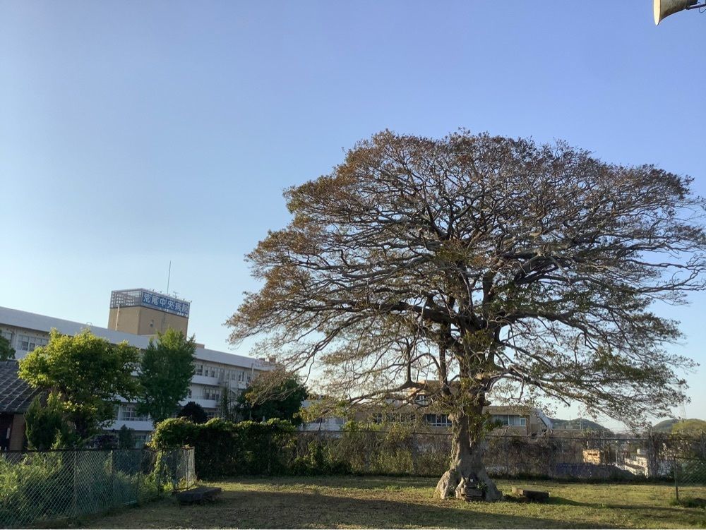festive_garden_7486さんが投稿したベスト電器 アウトレット荒尾店に関する口コミの画像