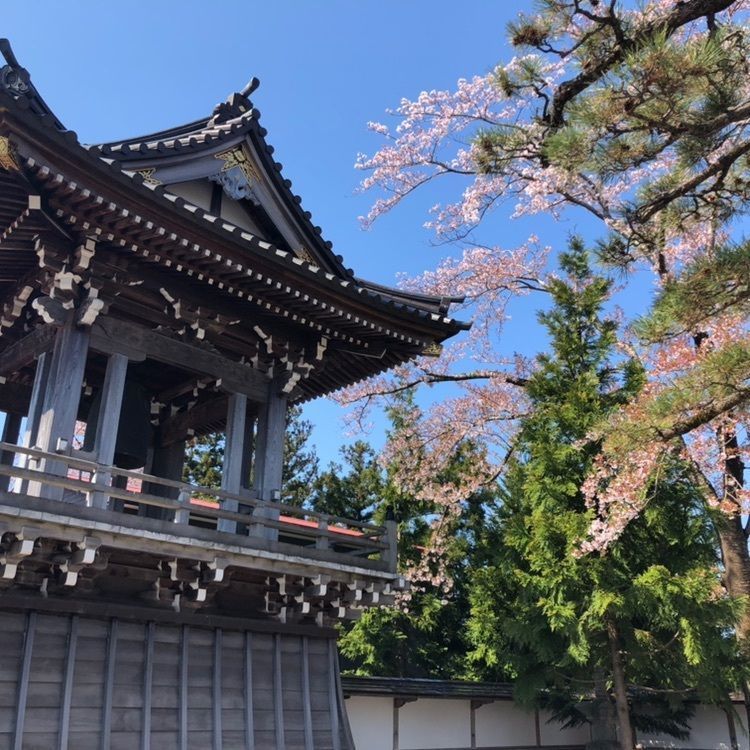 タッキーさんが投稿した円通寺に関する口コミの画像