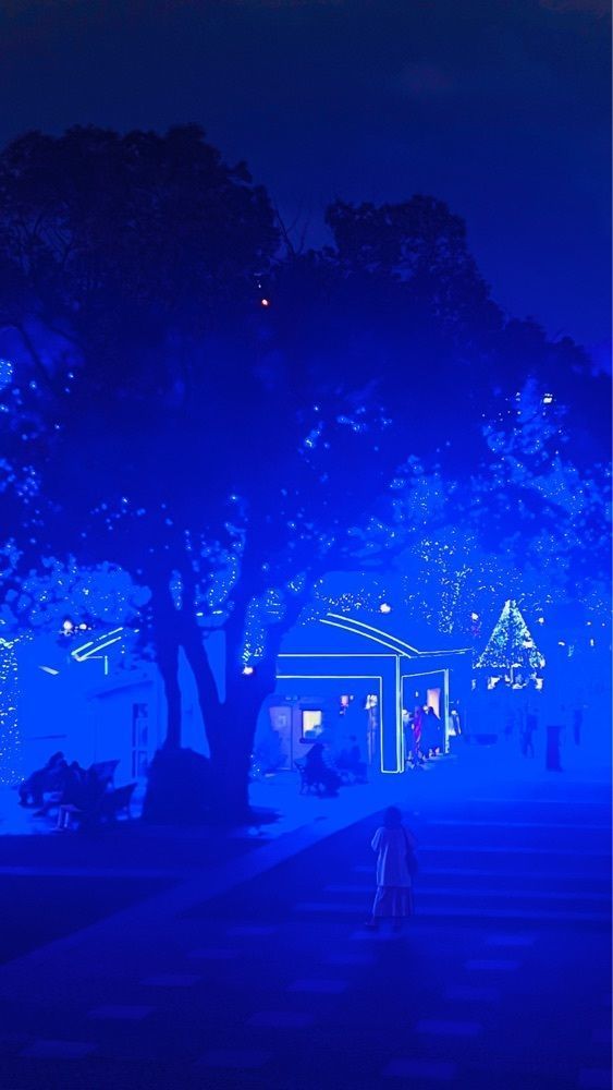 miiさんが投稿した青の洞窟 SHIBUYAに関する口コミの画像