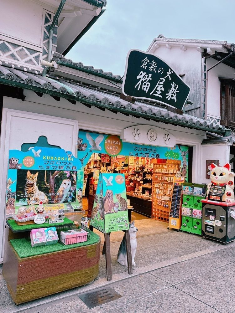 鉄道こまちさんが投稿した倉敷 フクロウとヒョウ猫乃森（【旧店名】倉敷 どうぶつの森）に関する口コミの画像