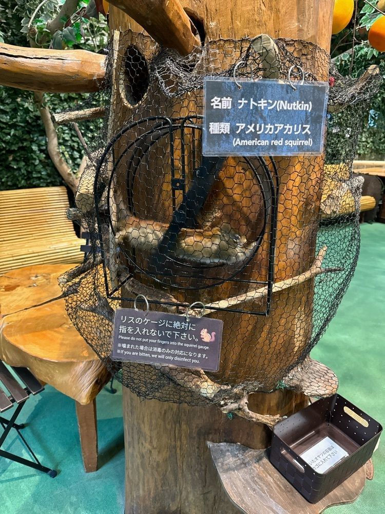 鉄道こまちさんが投稿した倉敷 フクロウとヒョウ猫乃森（【旧店名】倉敷 どうぶつの森）に関する口コミの画像