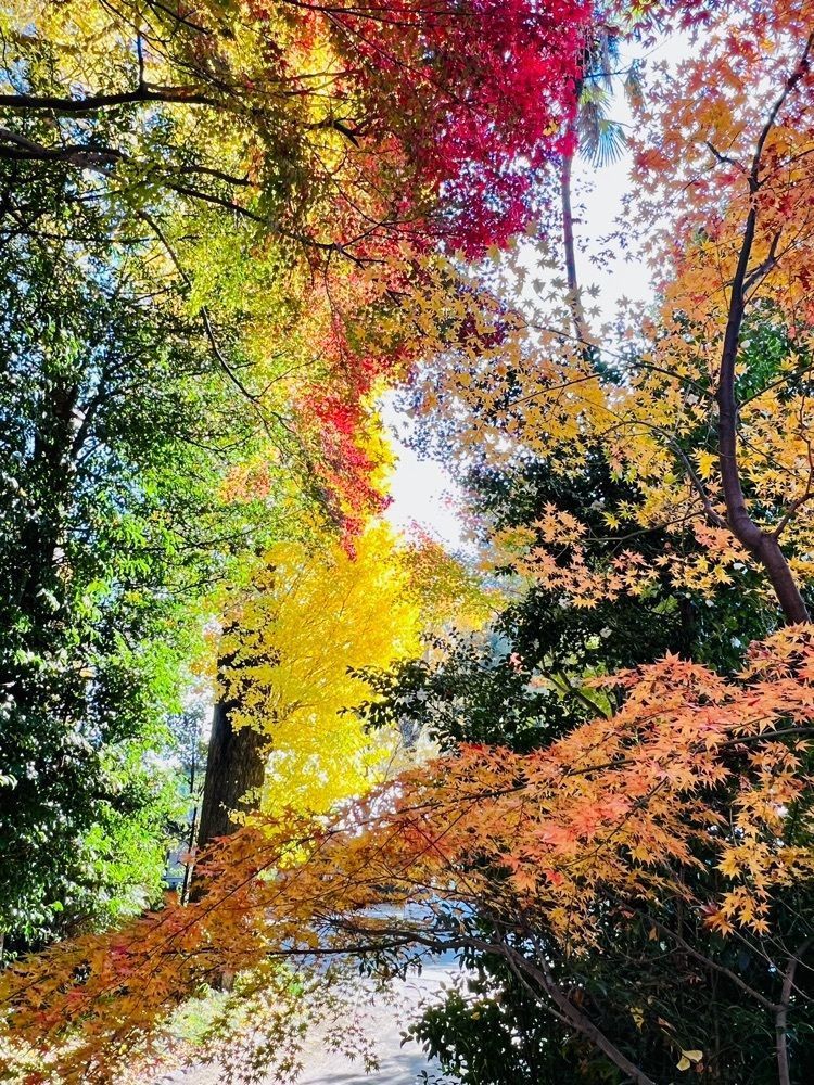 ビンカさんが投稿した寒田神社に関する口コミの画像