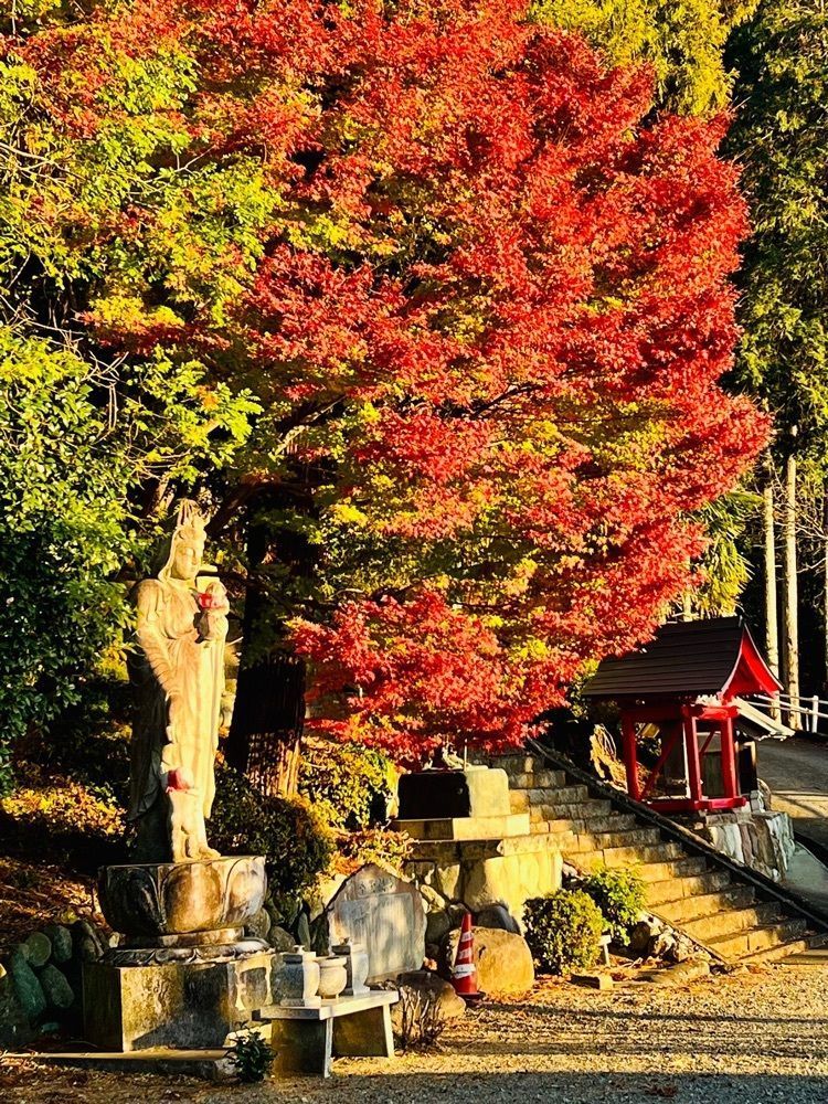 ビンカさんが投稿した最明寺（善光寺）に関する口コミの画像
