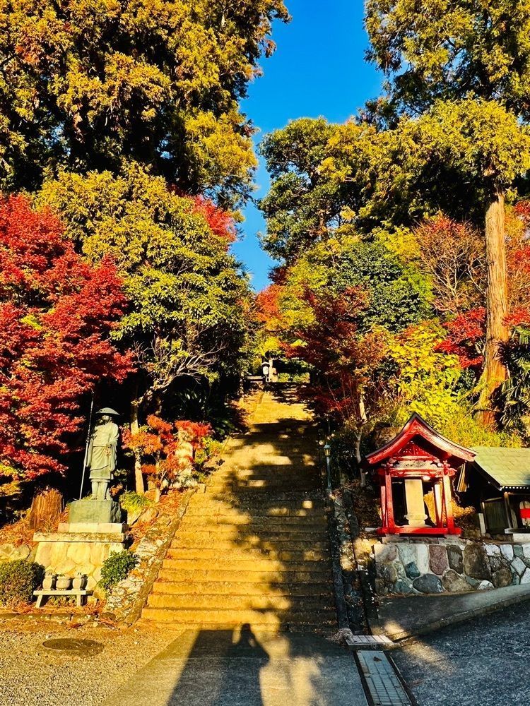 ビンカさんが投稿した最明寺（善光寺）に関する口コミの画像