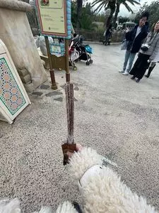 サルタンズ・オアシス