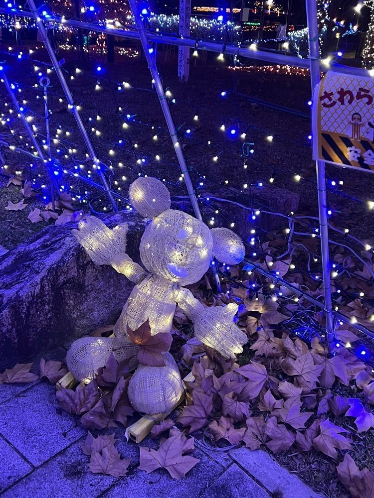 花＊花さんが投稿した平池緑地公園に関する口コミの画像