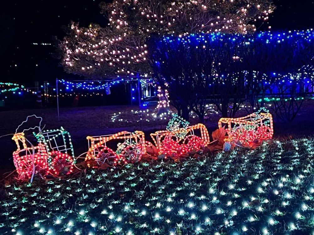 花＊花さんが投稿した平池緑地公園に関する口コミの画像