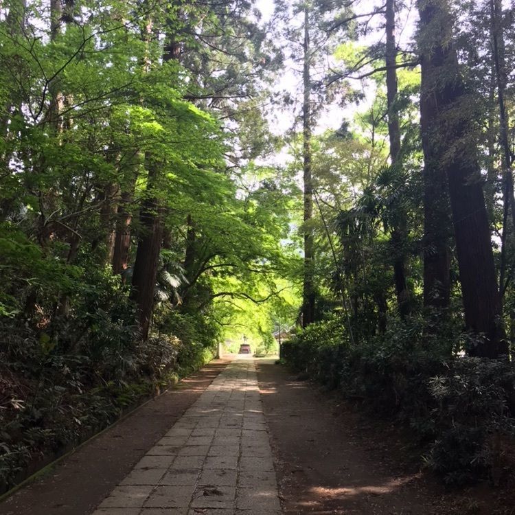 festive_walking_41e5さんが投稿した観福寺に関する口コミの画像