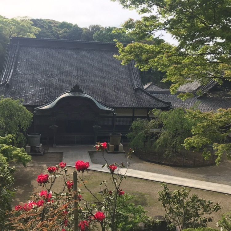 festive_walking_41e5さんが投稿した観福寺に関する口コミの画像
