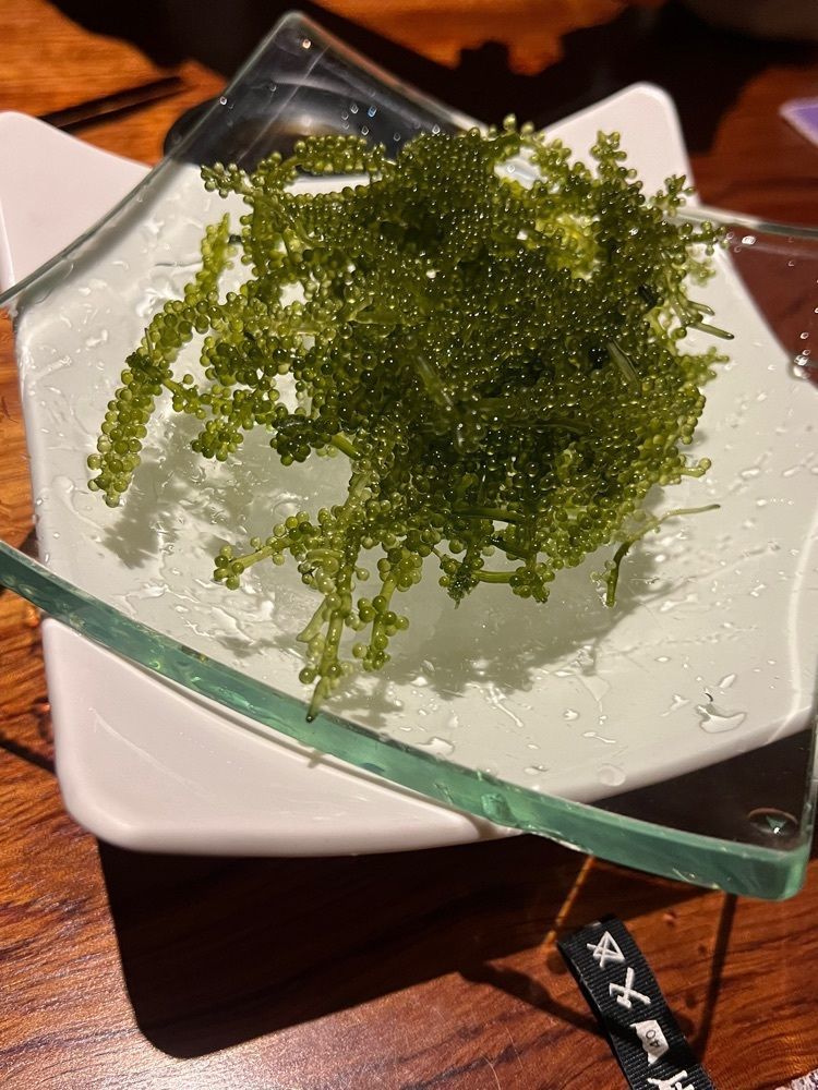 カリフラワーさんが投稿したtaachi（ターチ）に関する口コミの画像