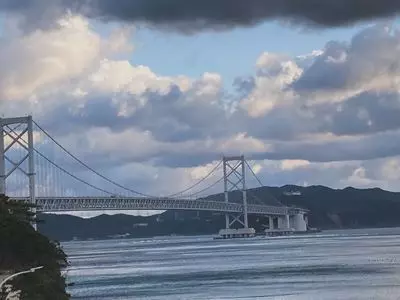 鯛丸海月