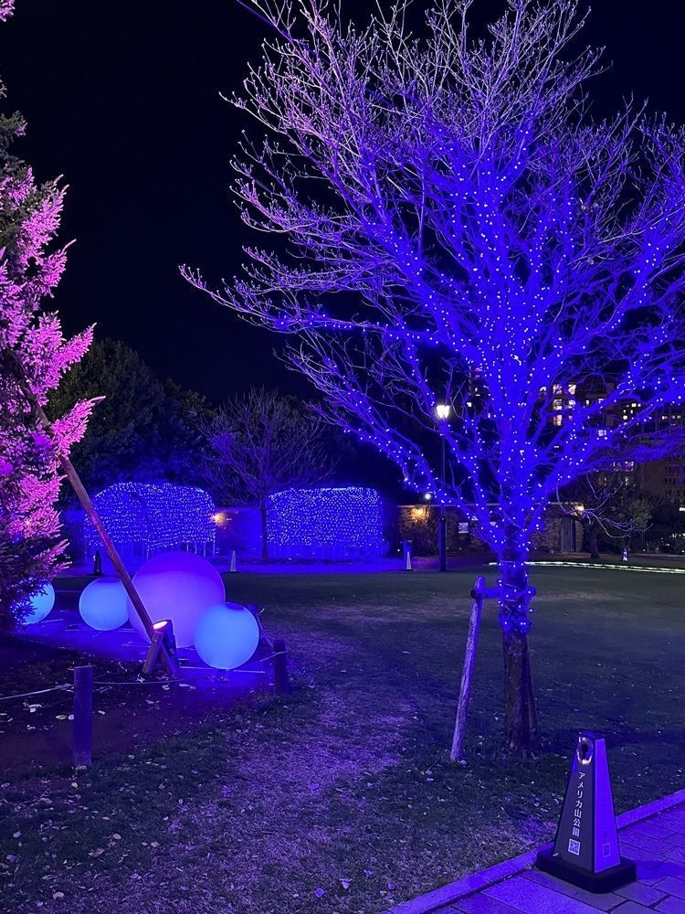 カズ兄さんが投稿したアメリカ山公園に関する口コミの画像