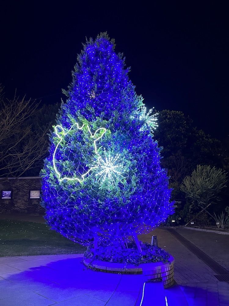 カズ兄さんが投稿したアメリカ山公園に関する口コミの画像