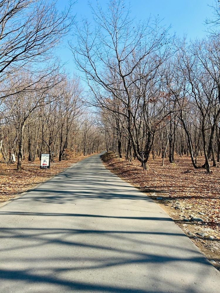 cool_village_20d2さんが投稿した小布施牧場　milgreenに関する口コミの画像