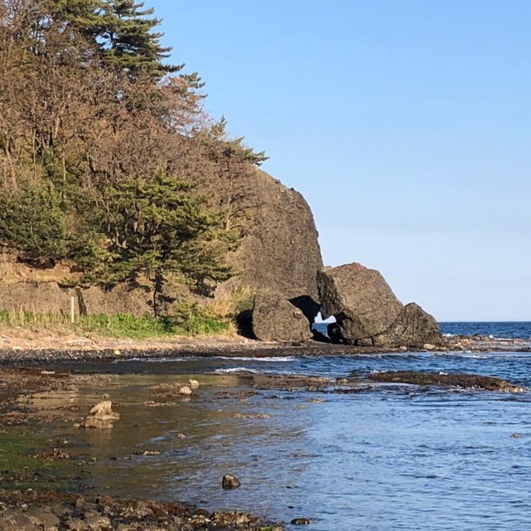 タッキーさんが投稿した脇野沢西海岸に関する口コミの画像
