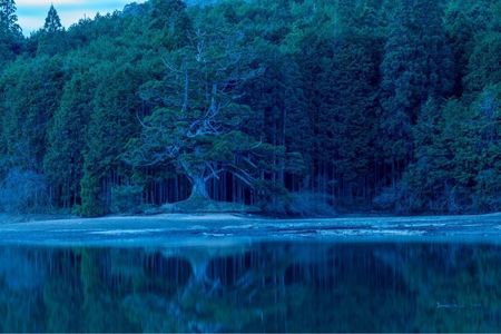 釜炊近江米 銀俵 3枚目