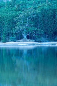 釜炊近江米 銀俵 5枚目