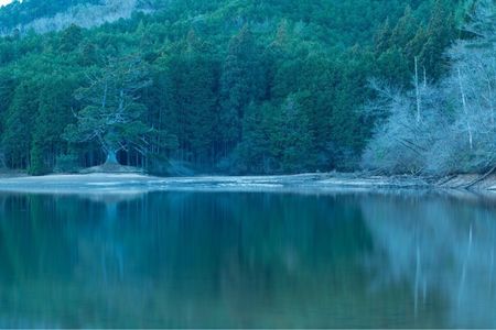 釜炊近江米 銀俵 6枚目