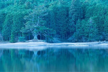 釜炊近江米 銀俵 7枚目