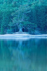 釜炊近江米 銀俵 8枚目