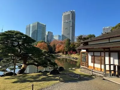 中島の御茶屋