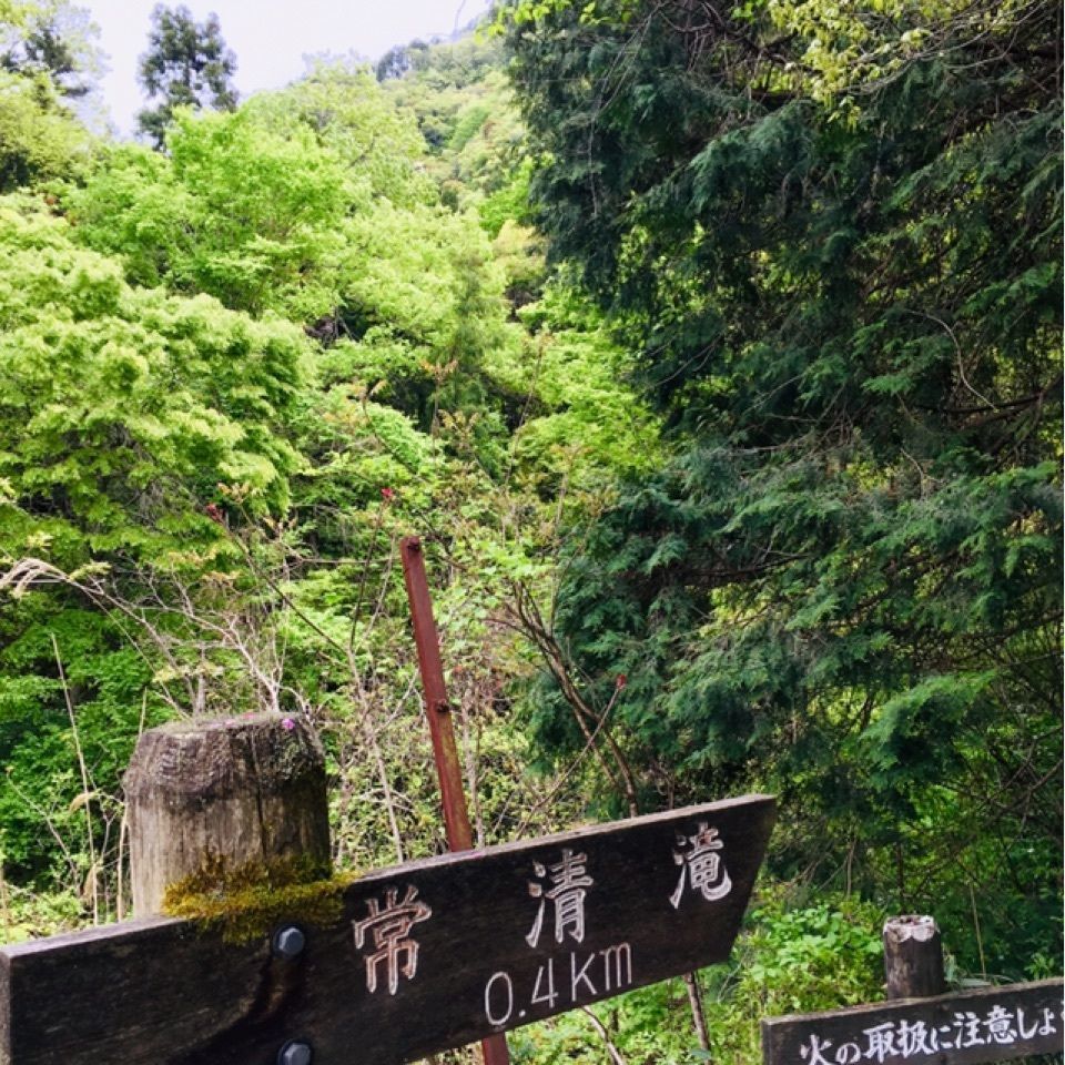 yoshiさんが投稿した常清滝に関する口コミの画像
