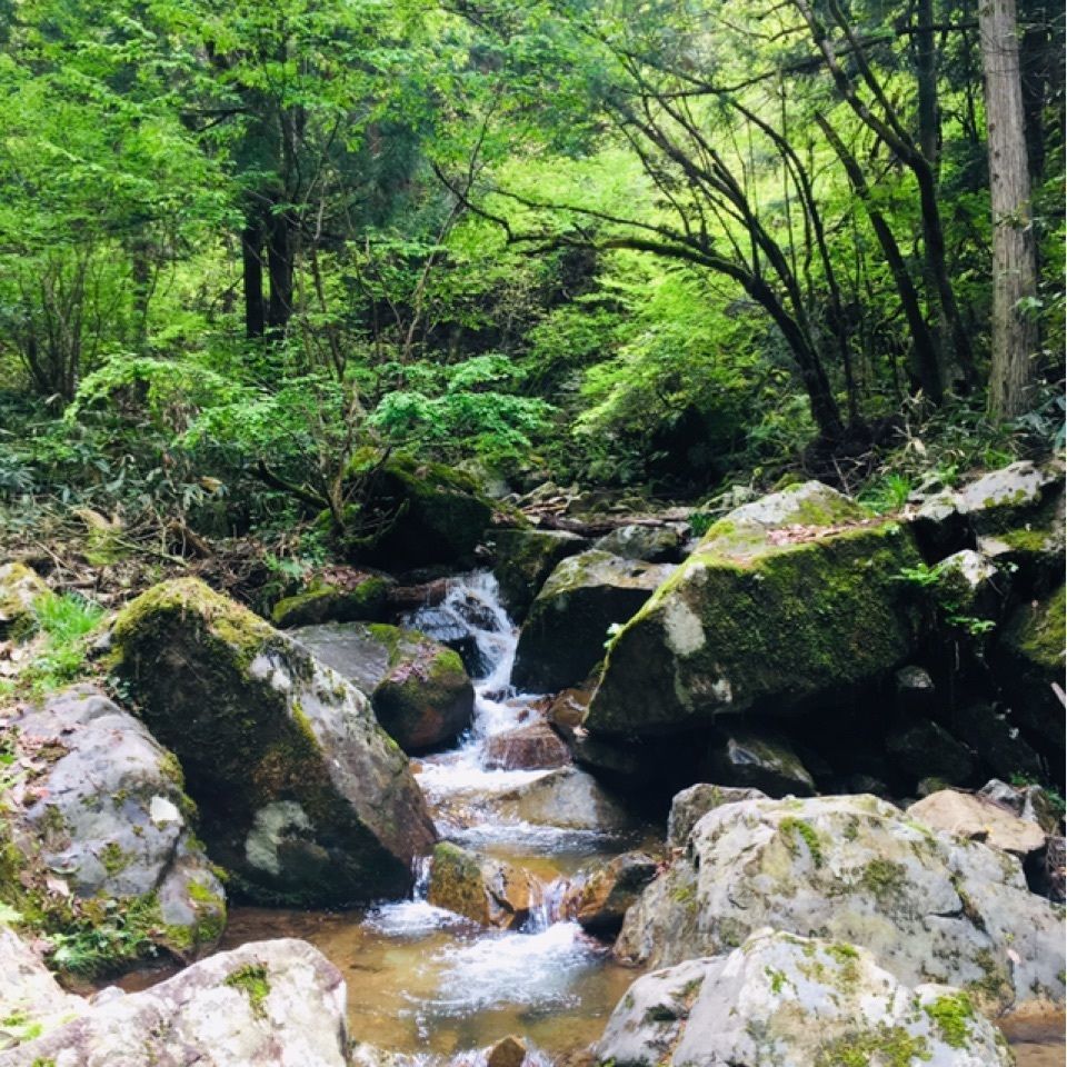 yoshiさんが投稿した常清滝に関する口コミの画像