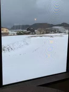 Cafe ニジノキ