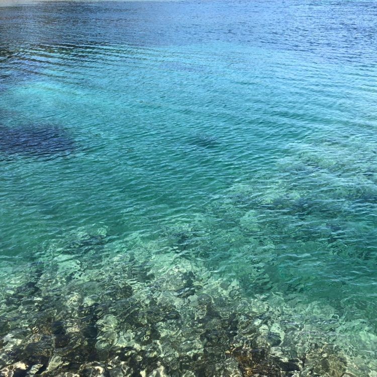 タッキーさんが投稿した風のまち交流プラザ・トップマストに関する口コミの画像
