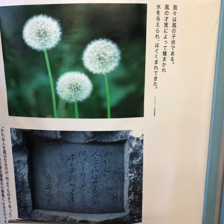 タッキーさんが投稿した風のまち交流プラザ・トップマストに関する口コミの画像