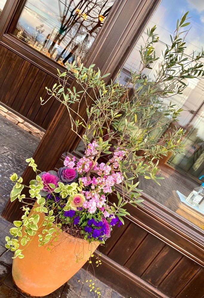 calm_gift_1030さんが投稿したペニー・レイン 宇都宮店（PENNY LANE）に関する口コミの画像