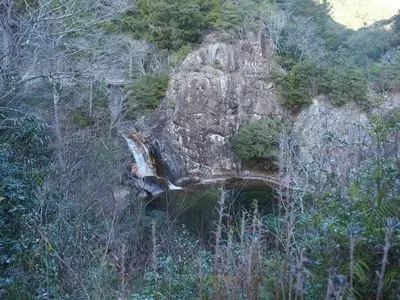 愛知県民の森