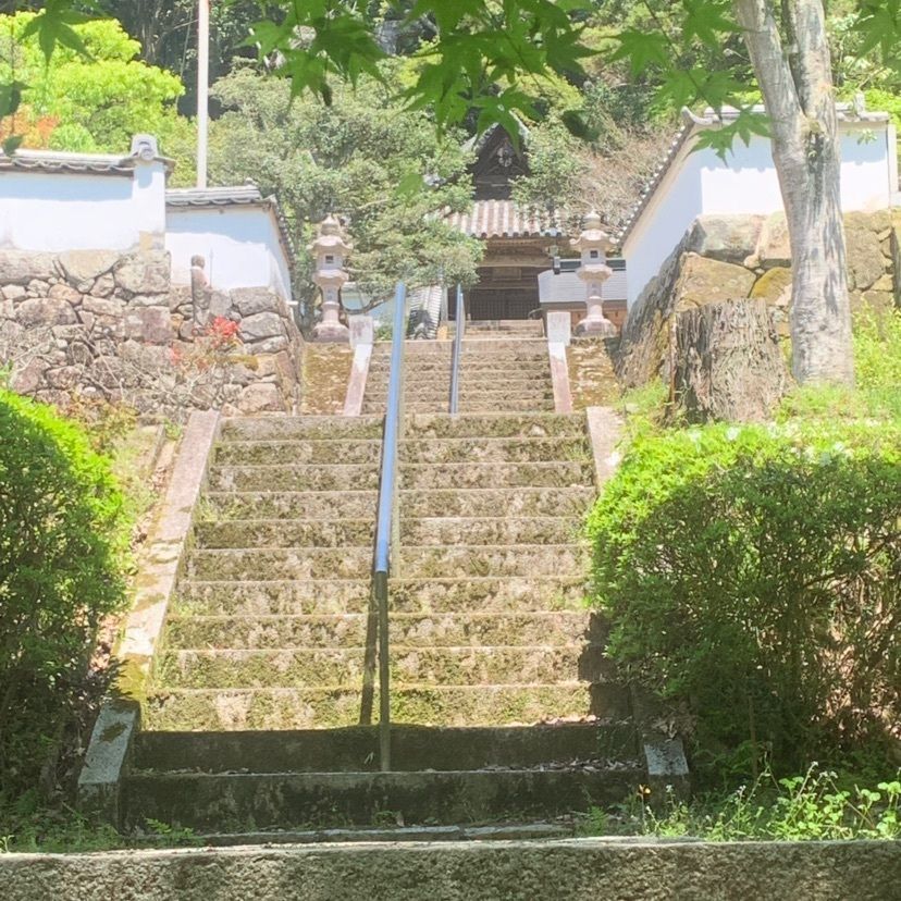 影の戦闘隊さんが投稿した金剛城寺に関する口コミの画像