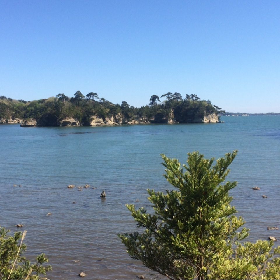 GuCchi-さんが投稿した松島佐勘　松庵（しょうあん）に関する口コミの画像