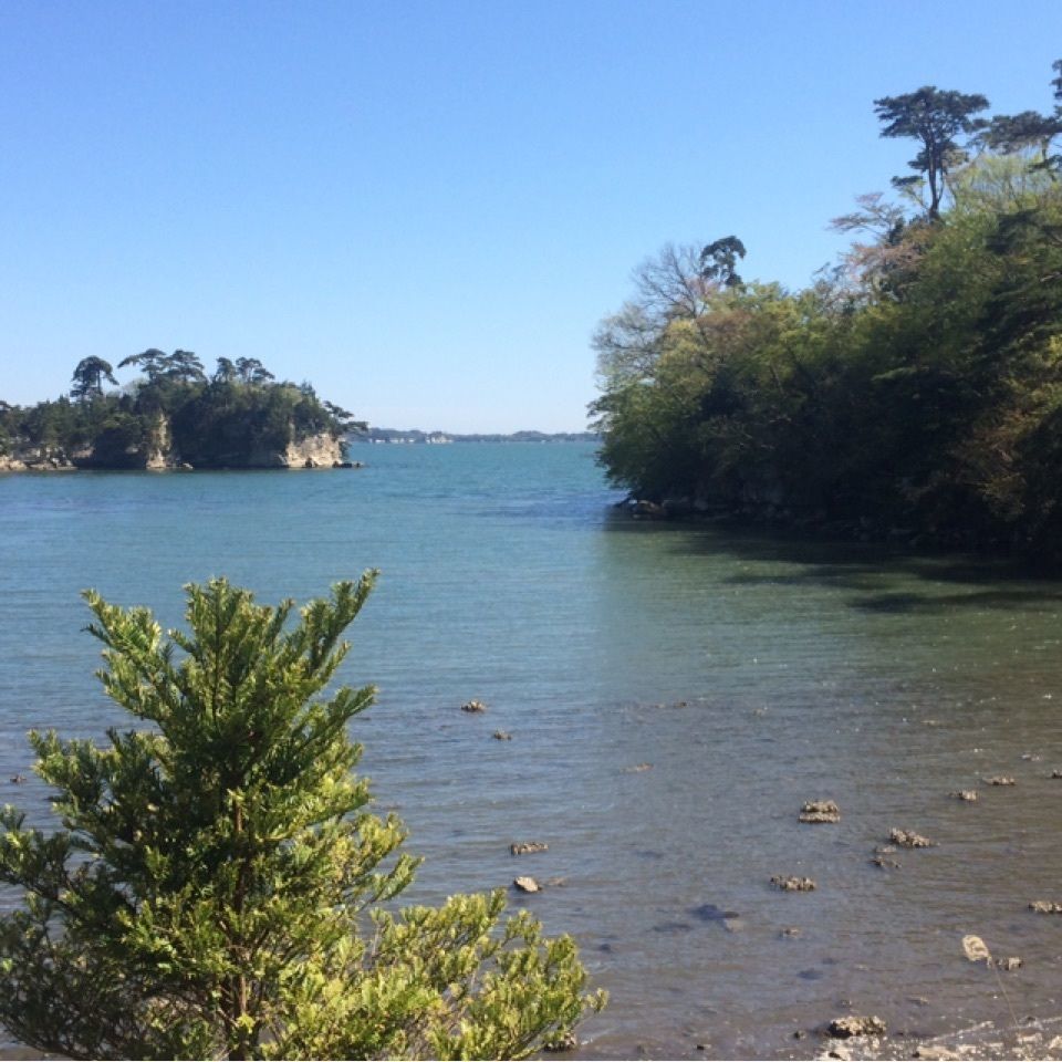 GuCchi-さんが投稿した松島佐勘　松庵（しょうあん）に関する口コミの画像