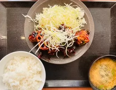 からやま ふじみ野店