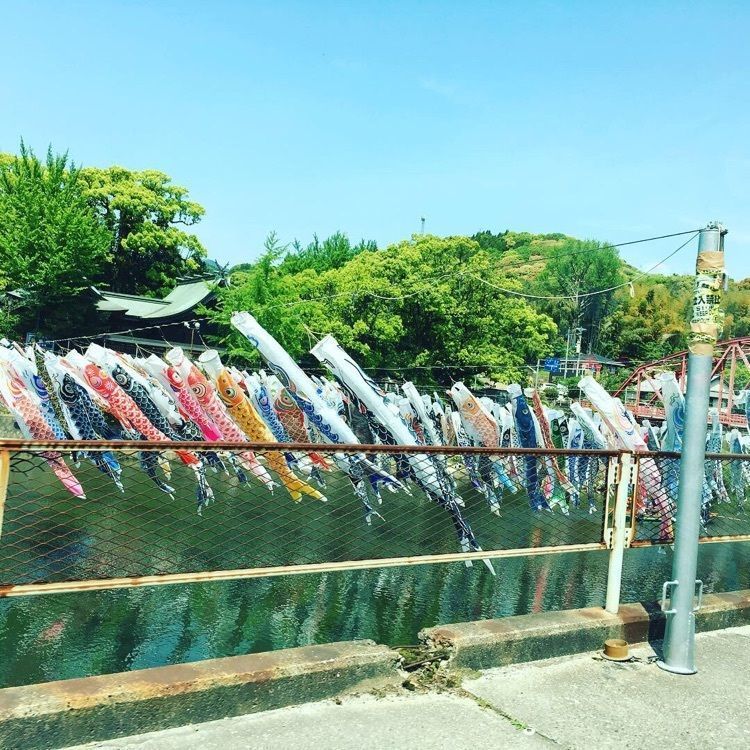 ぴろろんさんが投稿した三瀬ルベール牧場どんぐり村に関する口コミの画像
