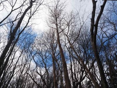 休暇村 富士 4枚目