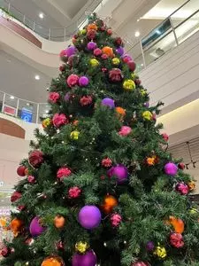 イオンシネマ 高の原