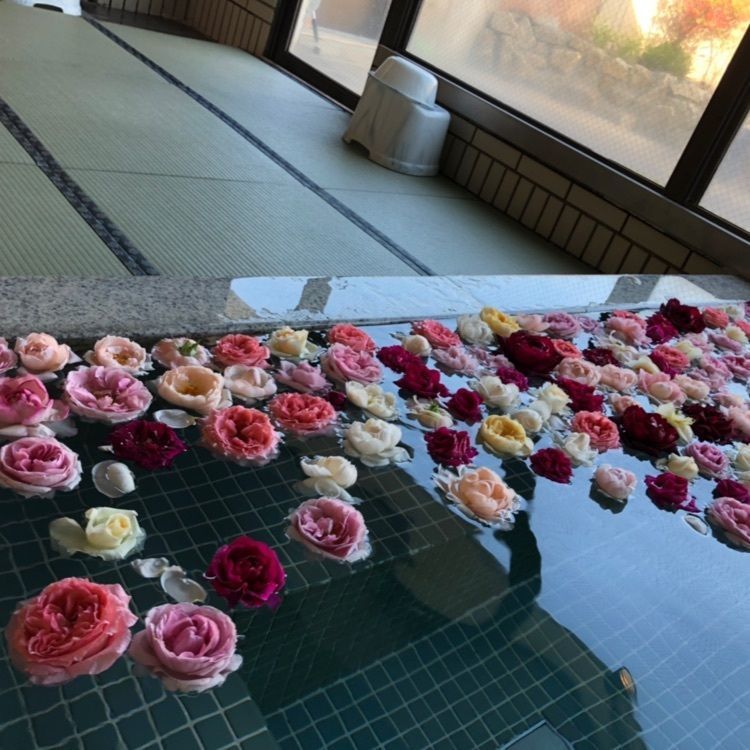 Ciel bleuさんが投稿した下呂温泉木曽屋に関する口コミの画像